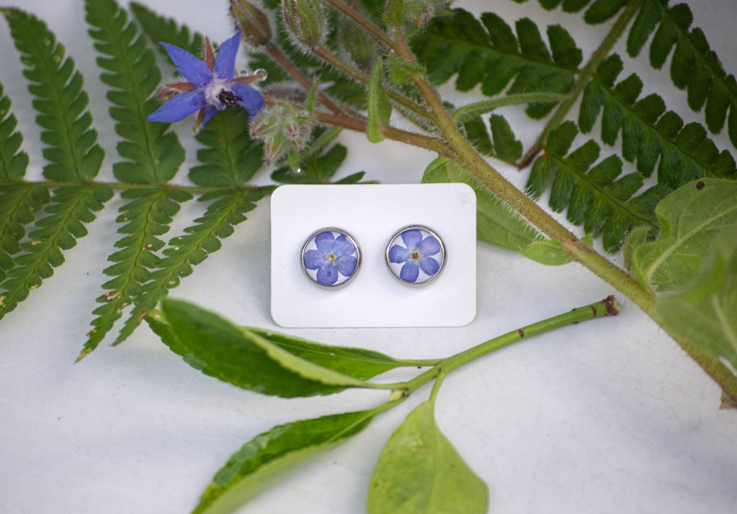 Transparent Forget-Me-Not Studs