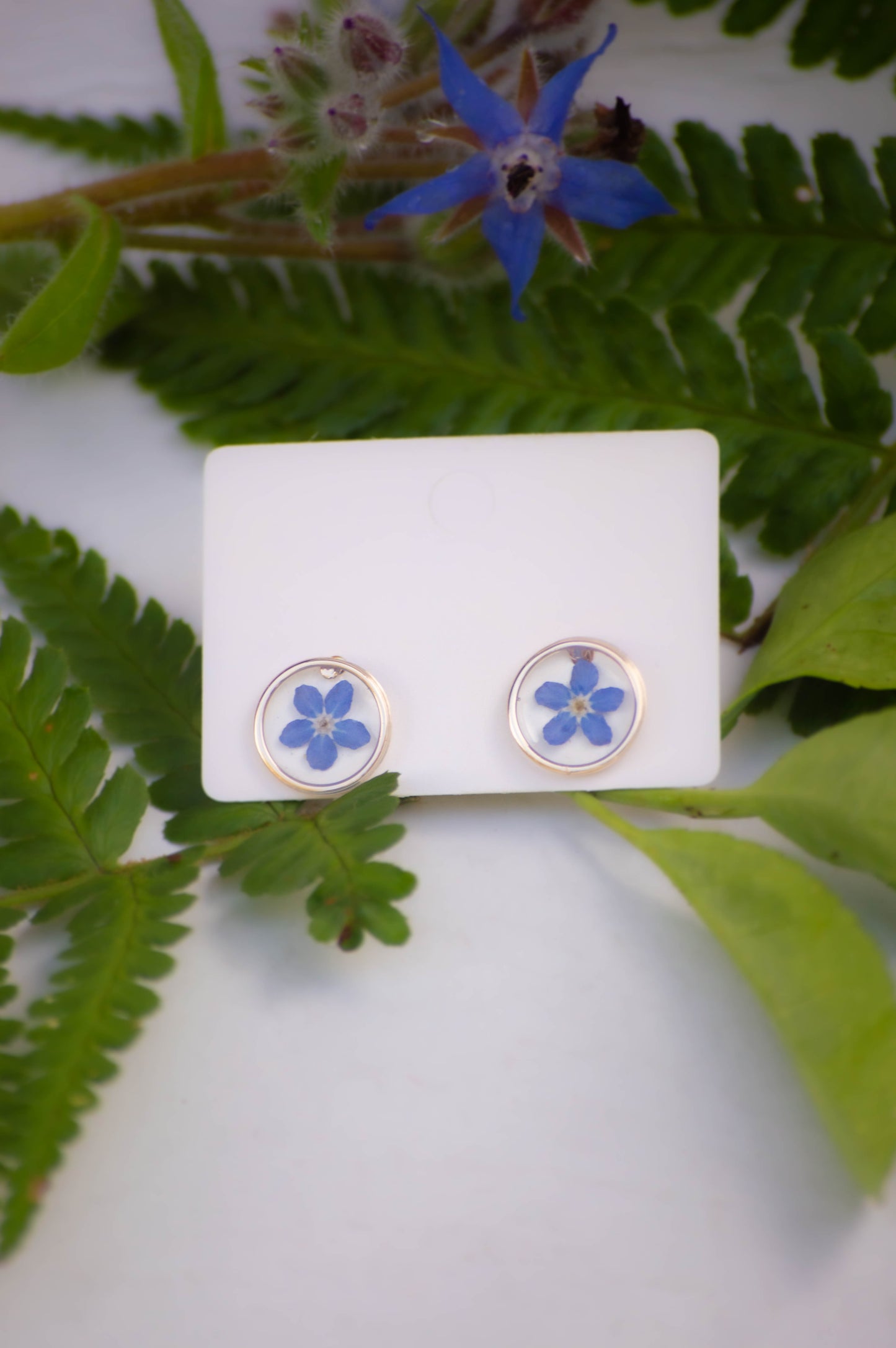 Transparent Forget-Me-Not Studs