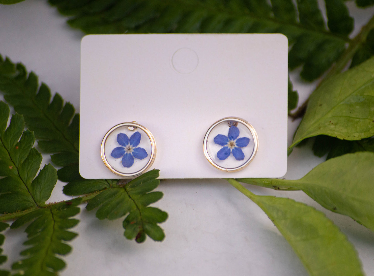 Transparent Forget-Me-Not Studs
