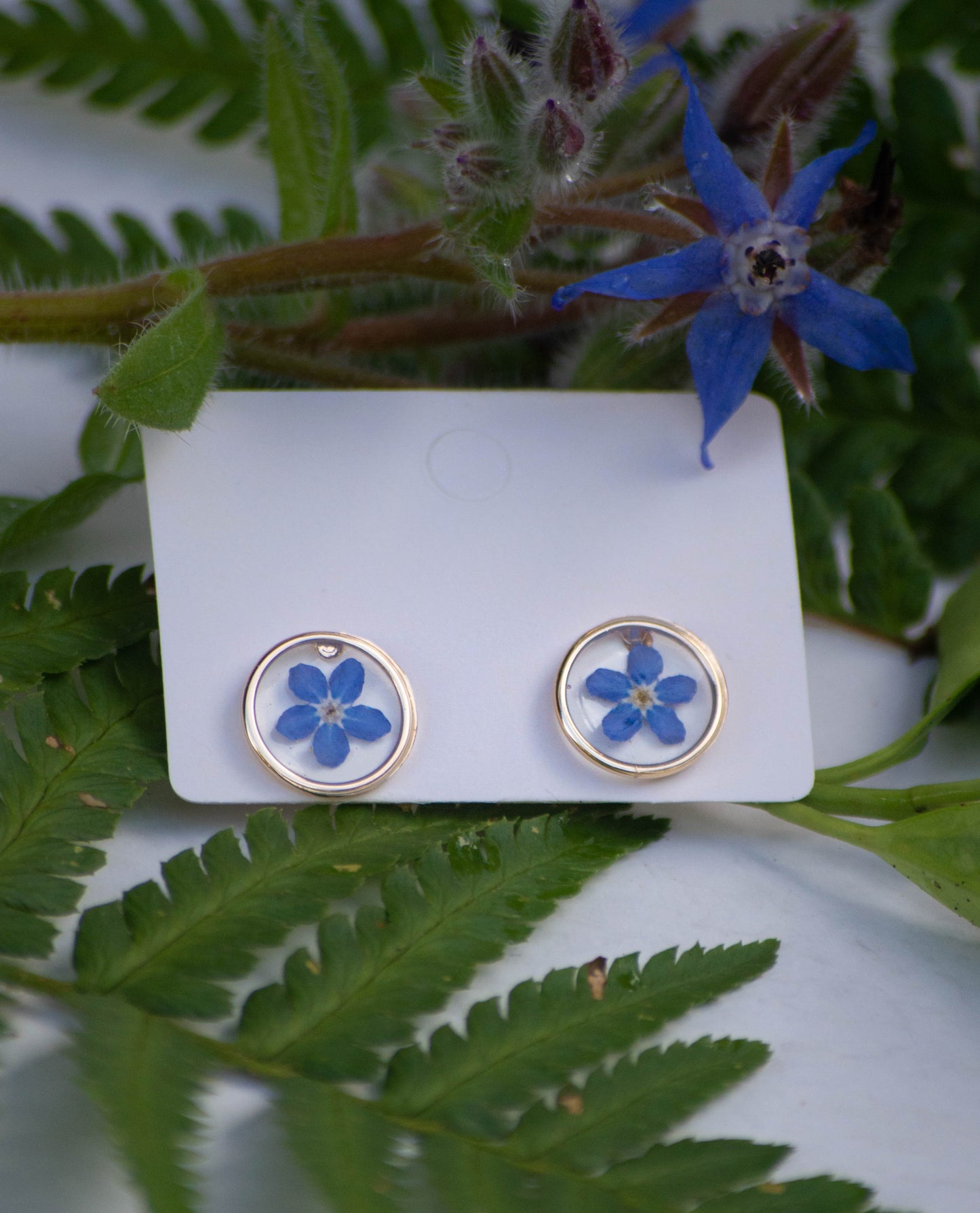 Transparent Forget-Me-Not Studs