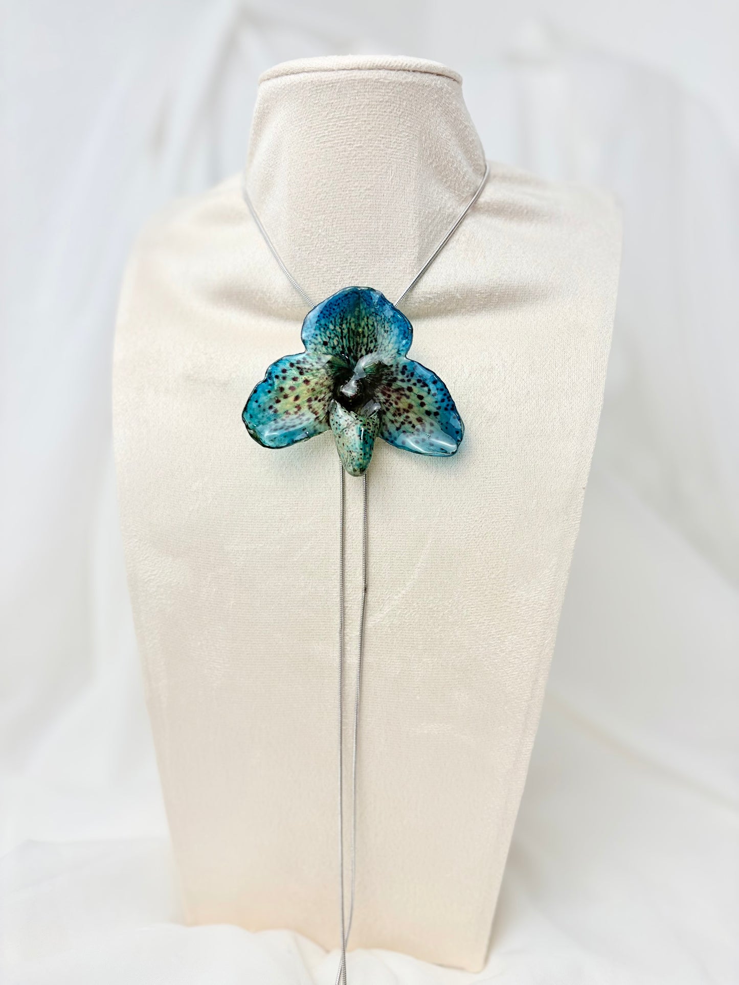 Blaue Paph Orchidee Verstellbar