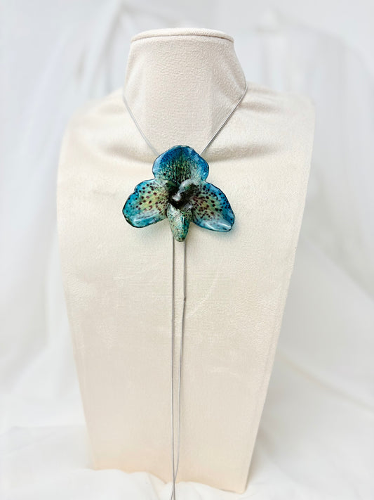 Blaue Paph Orchidee Verstellbar