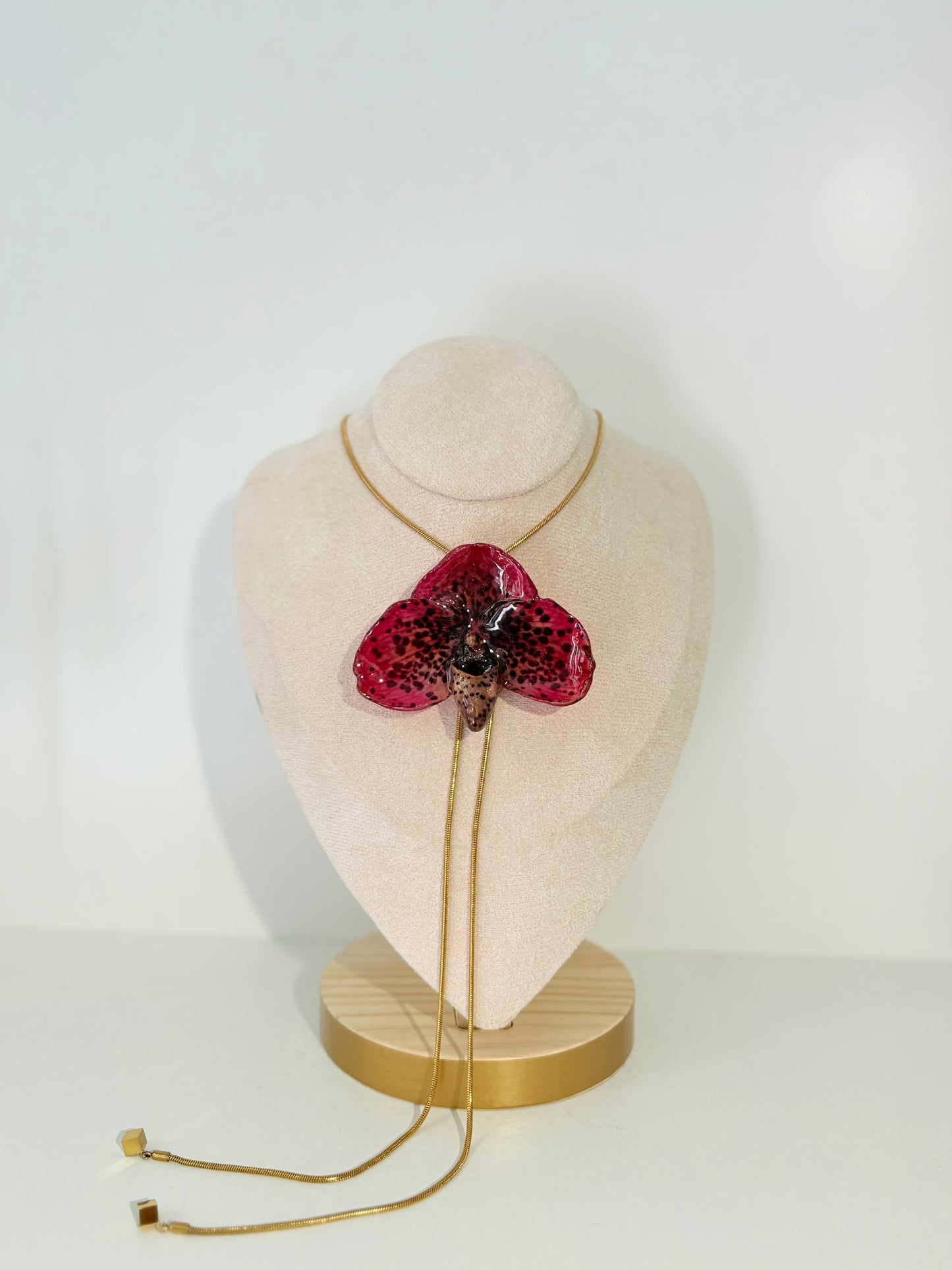 Rote Paph Orchidee Verstellbar
