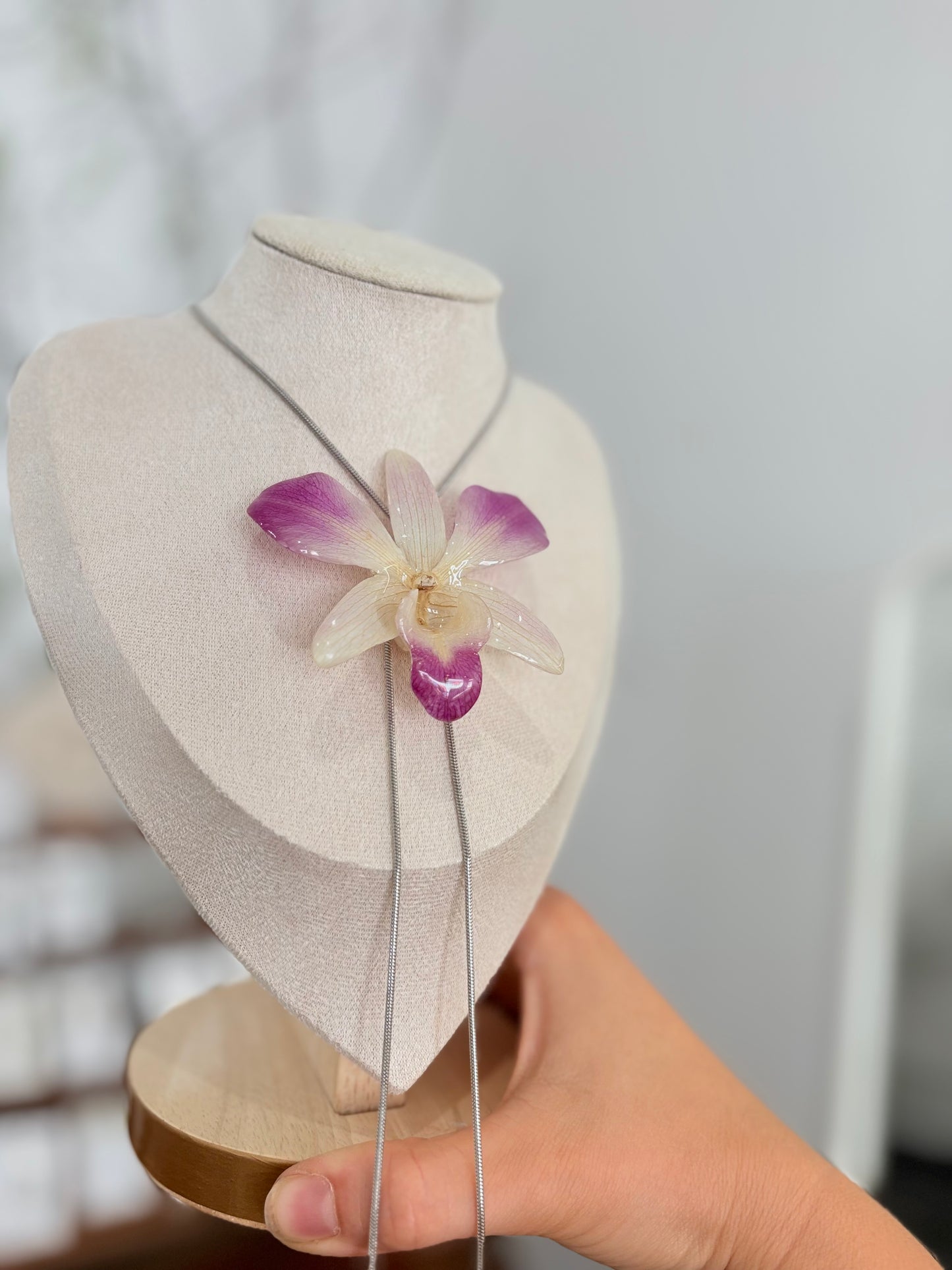 Große Weiß Lila Orchidee