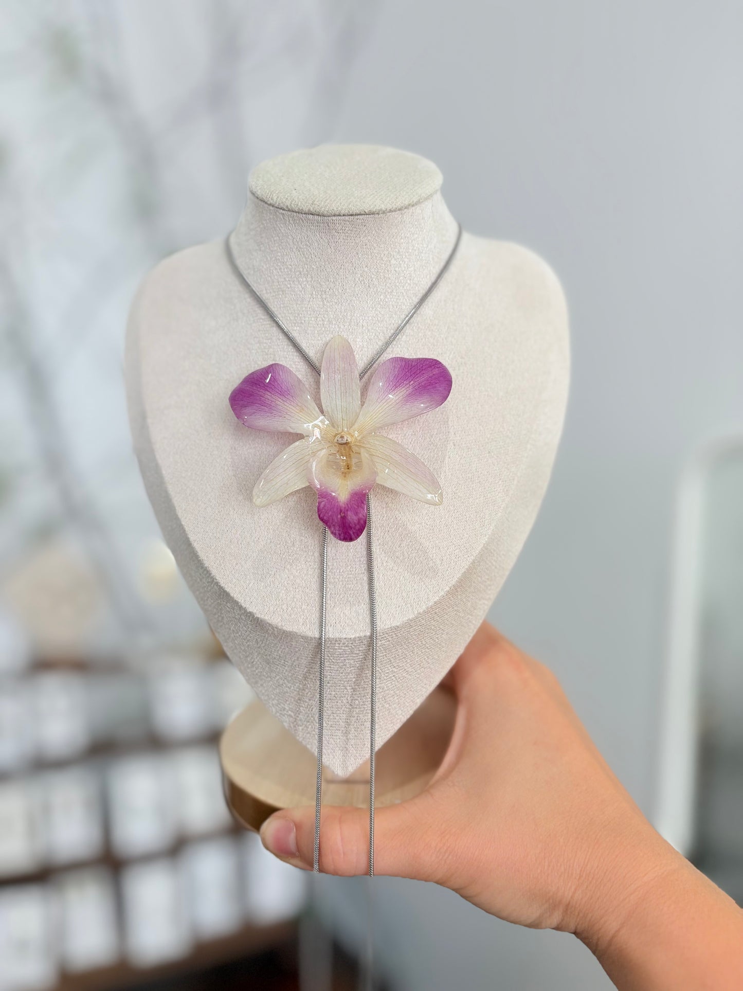 Große Weiß Lila Orchidee