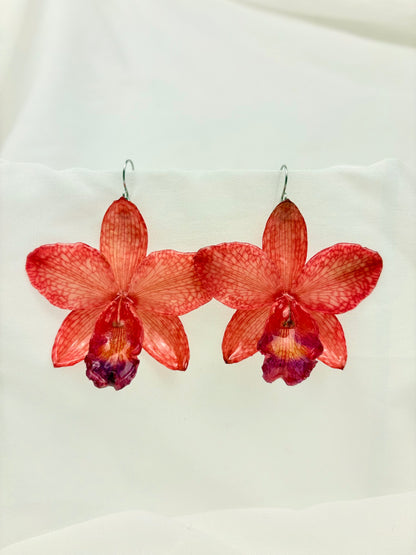 Orchideen Ohrringe Rot