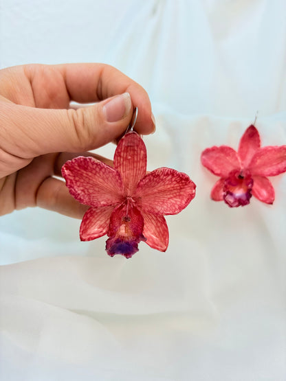 Orchideen Ohrringe Rot