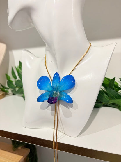 Blaue Orchidee Verstellbar
