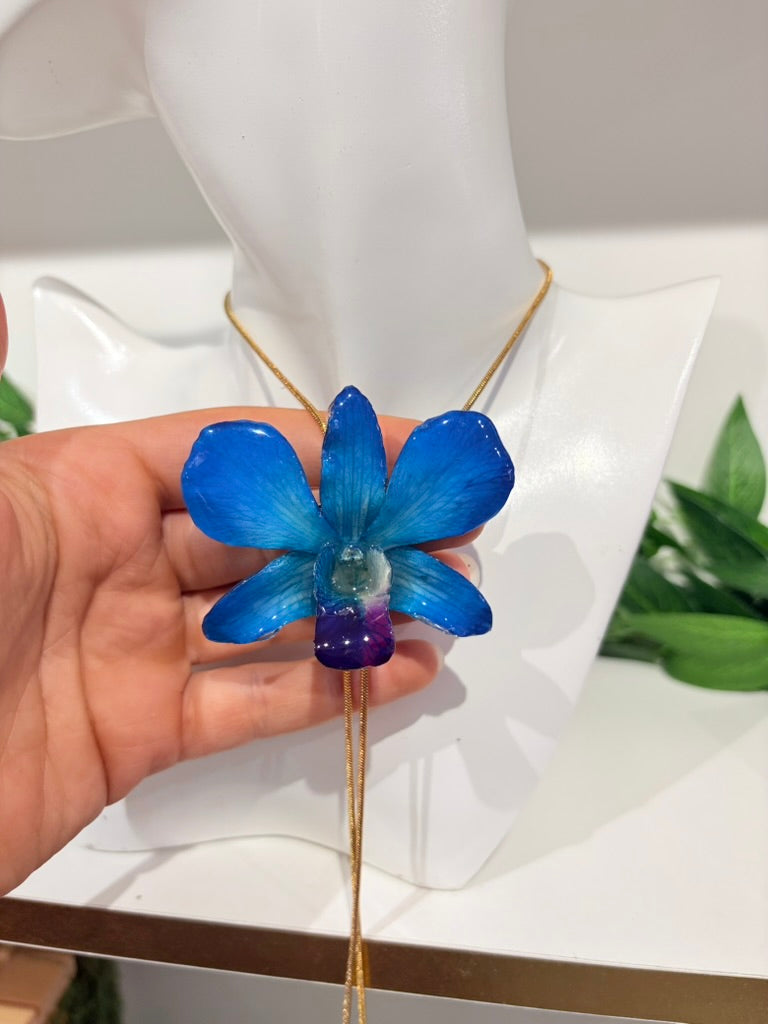 Blaue Orchidee Verstellbar