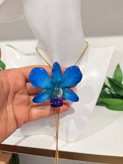 Blaue Orchidee Verstellbar