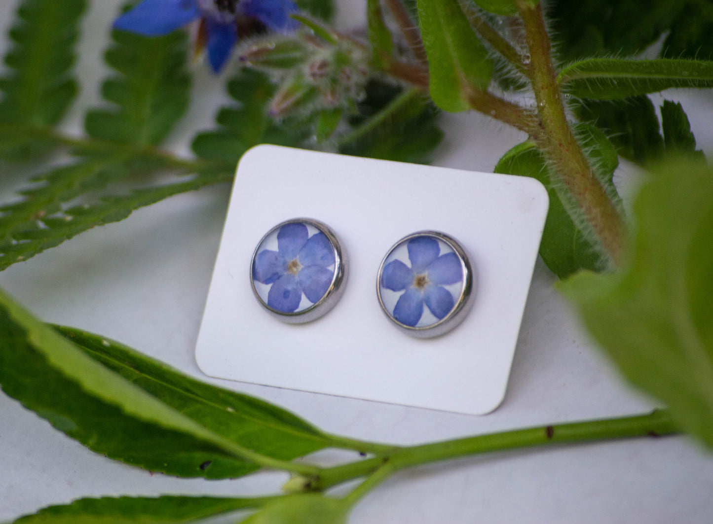 Transparent Forget-Me-Not Studs