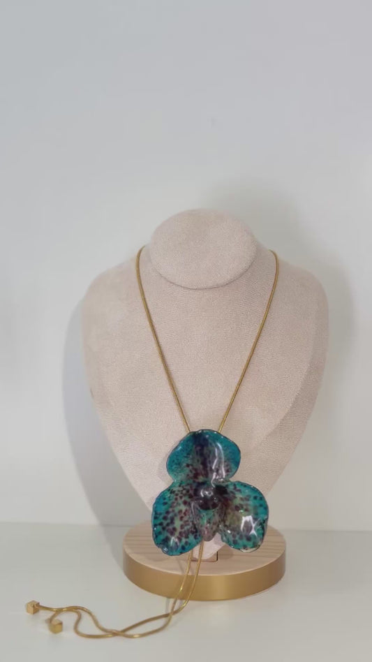 Blaue Paph Orchidee Verstellbar