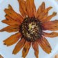 Flower Coaster Set of 4